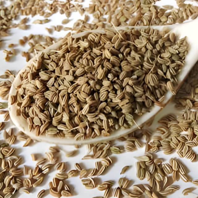 THYMOL SEEDS (AJWAIN)